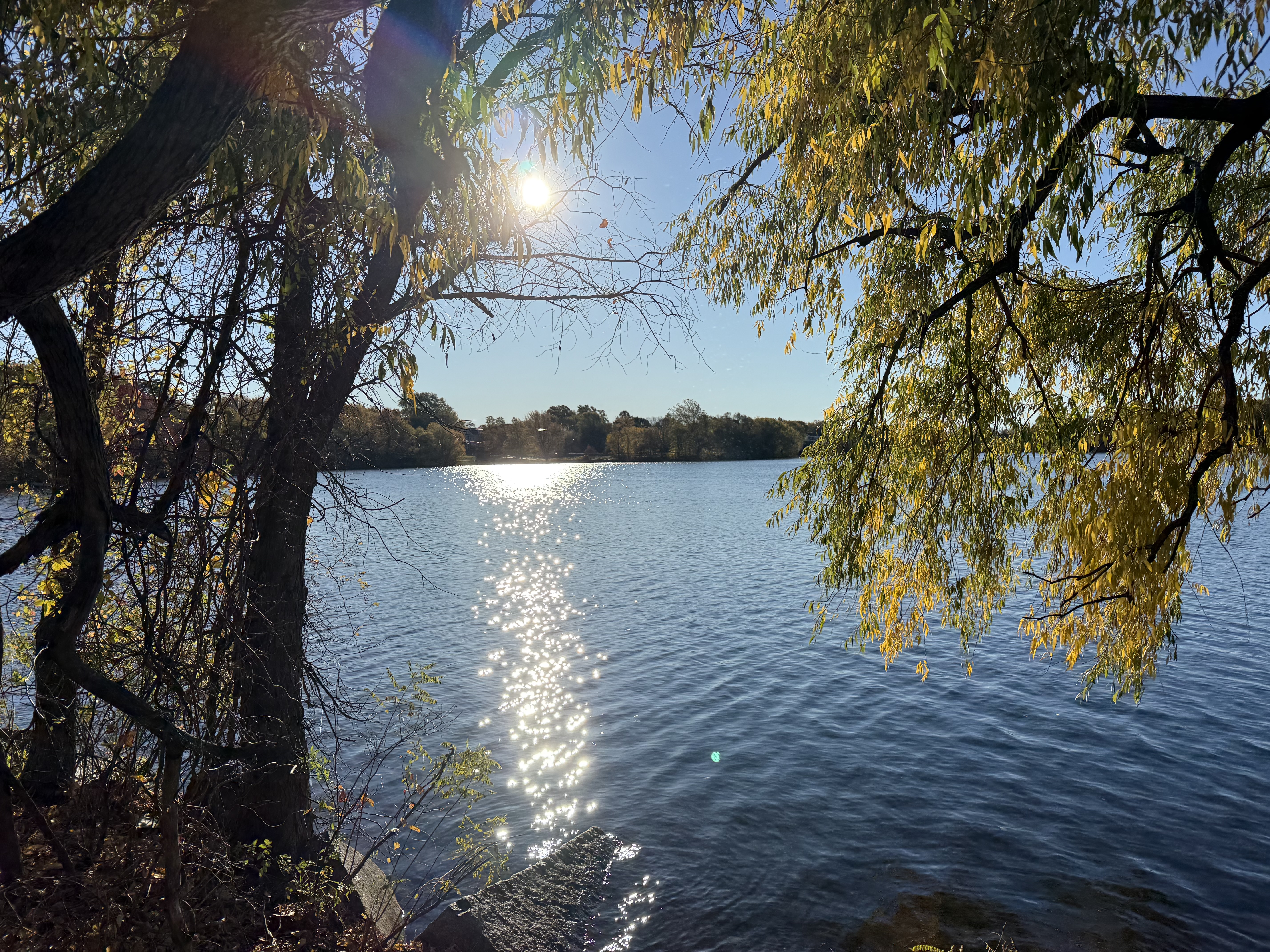 Arlington Anglers Club Photo 1