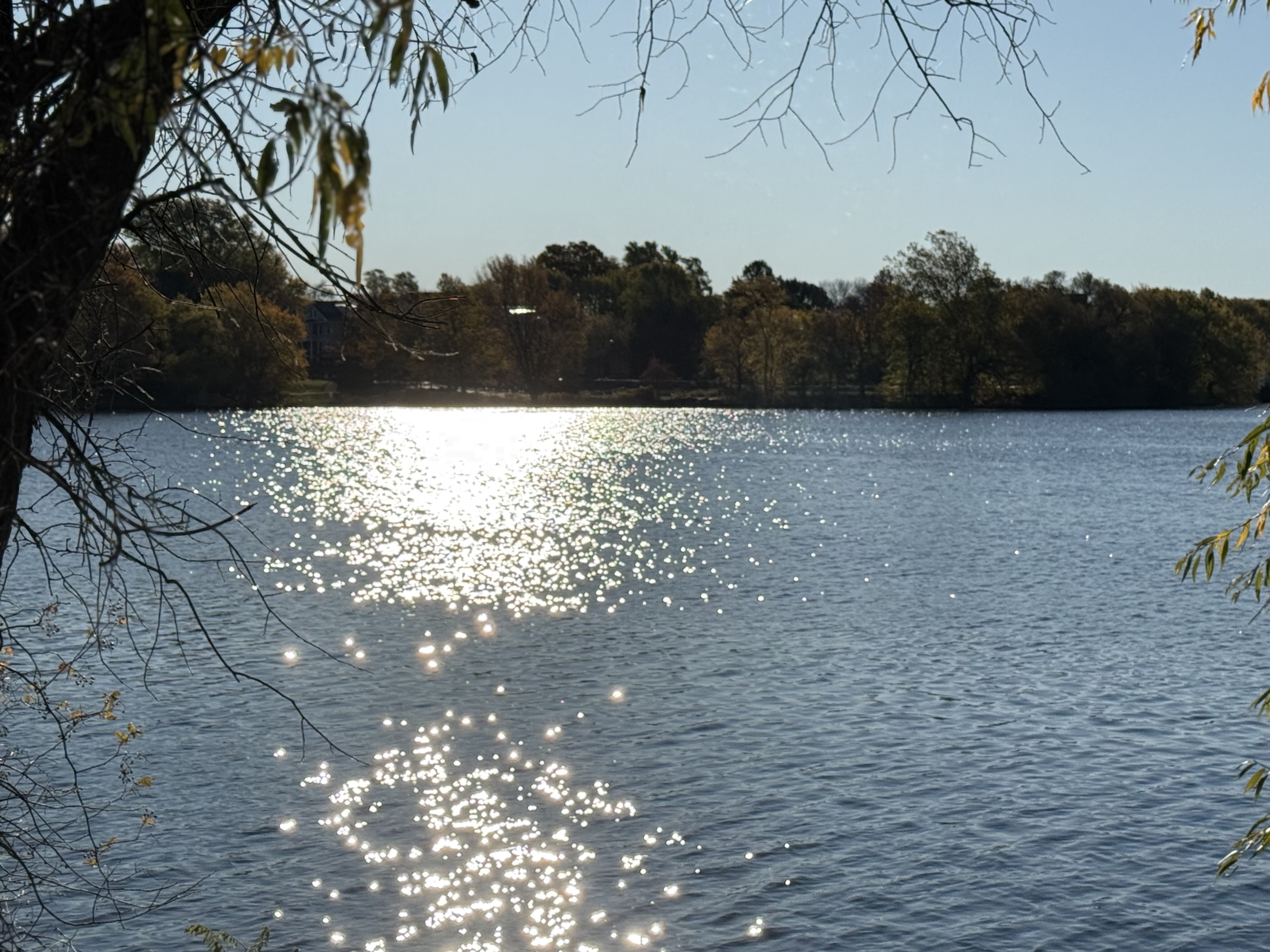 Arlington Anglers Club Photo 2